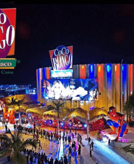 Night life, Shows