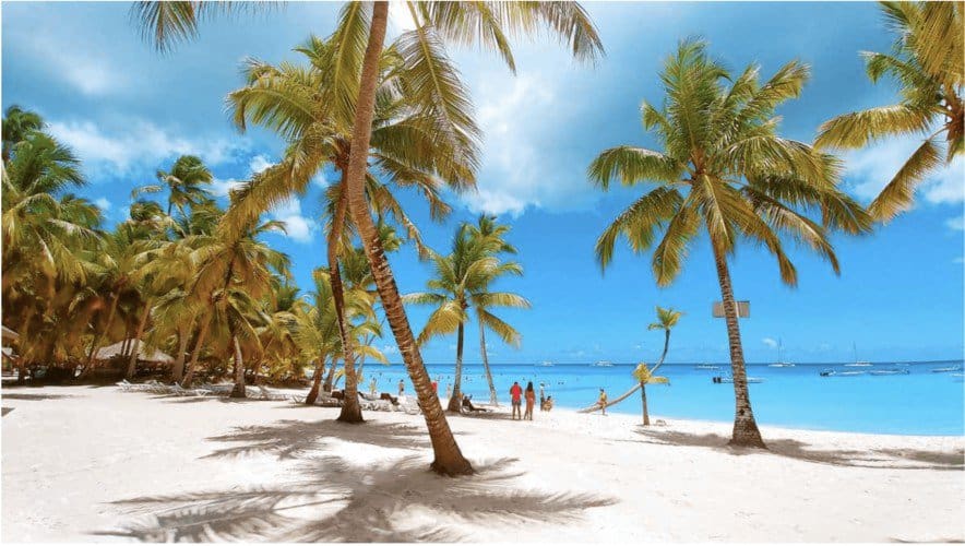 discover the tropical paradise with our Saona Island excursion