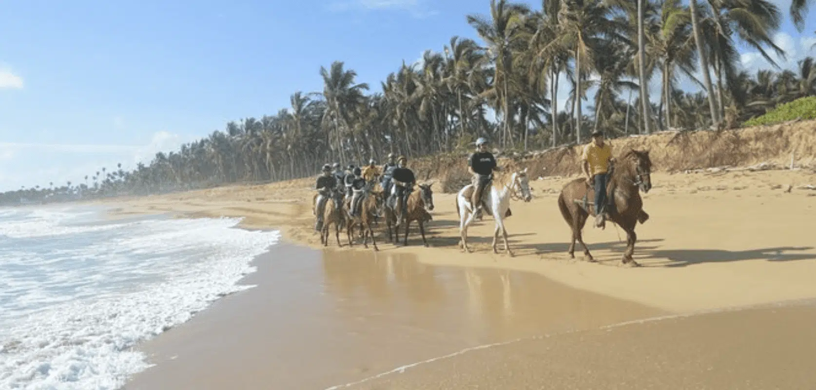 ride horses on beautiful caribbean beaches and...