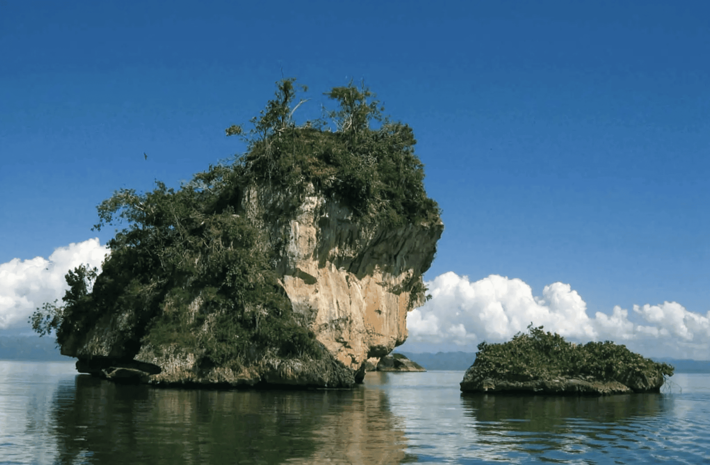 or nature with our Los Haitises National Park tour