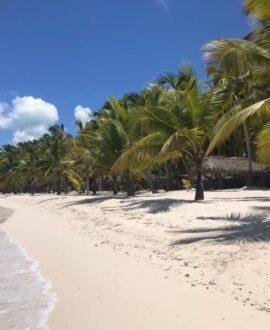 Saona Island